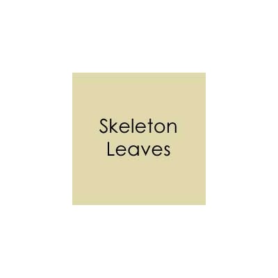 Gina K. - Skeleton Leaves Cardstock