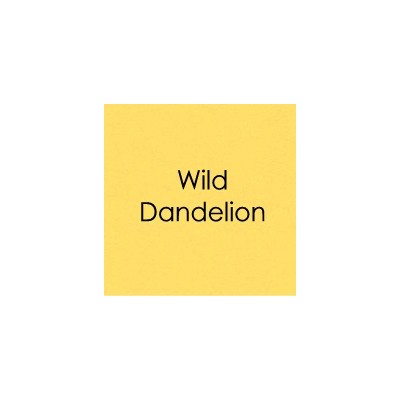 Gina K. - Wild Dandelion Cardstock