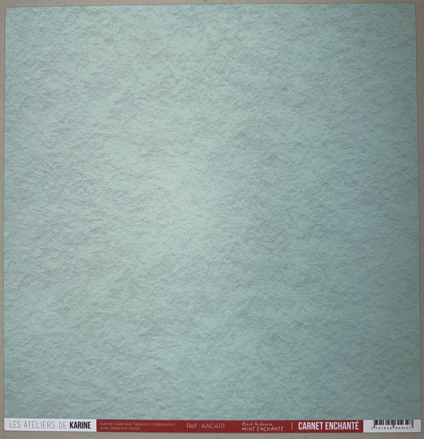 Les Ateliers de Karine - Carnet Enchante - Solid Cardstock: Mint Enchante