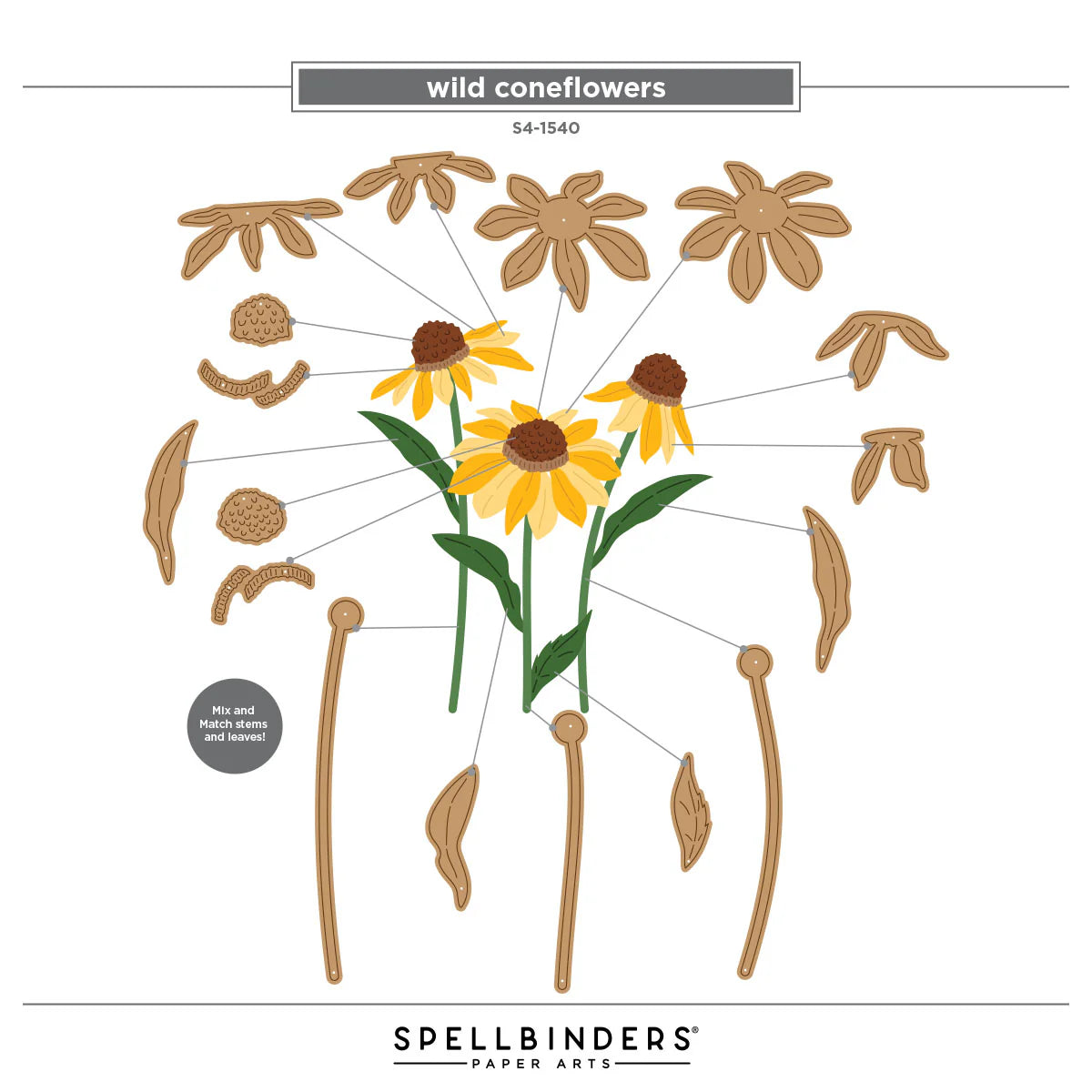 Spellbinders - Wild Coneflowers Die Set by Simon Hurley