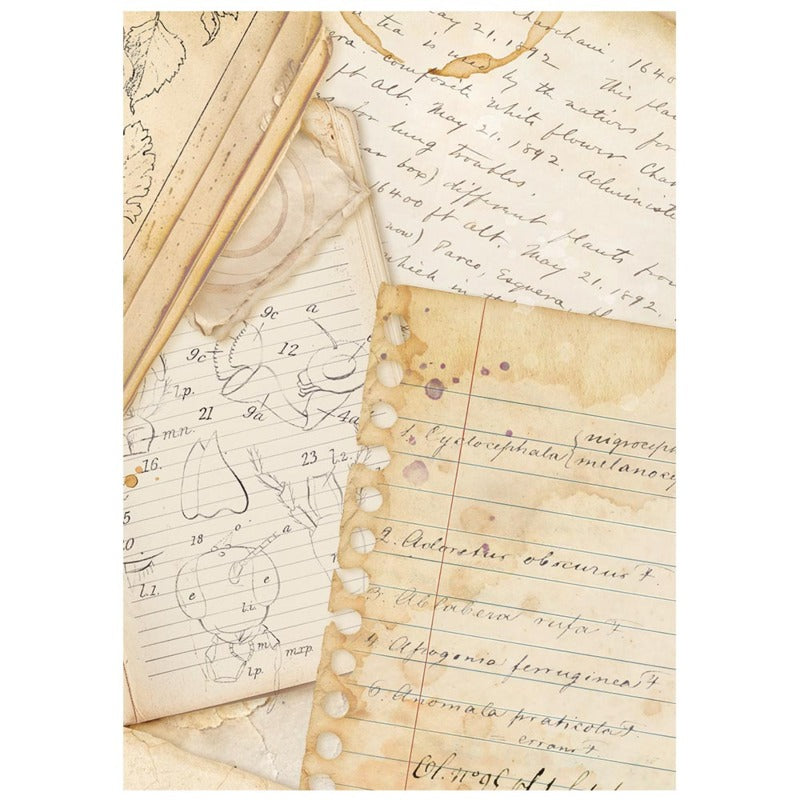 Stamperia - All Around - A6 Rice Paper Backgrounds
