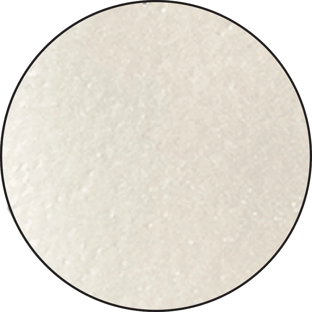 Ranger - Embossing Powder - Silver Pearl
