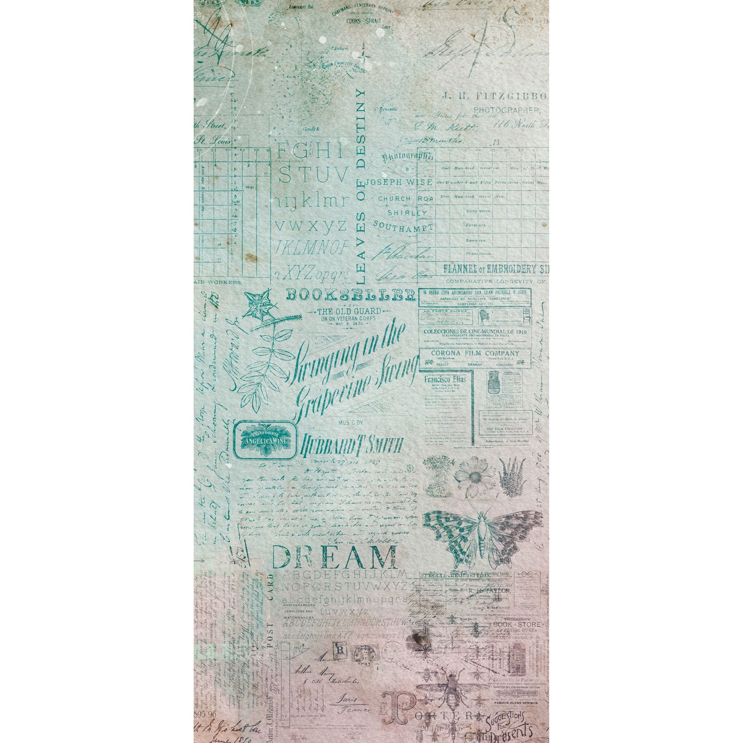 49 & Market - The Quiet Observer - Washi Tape