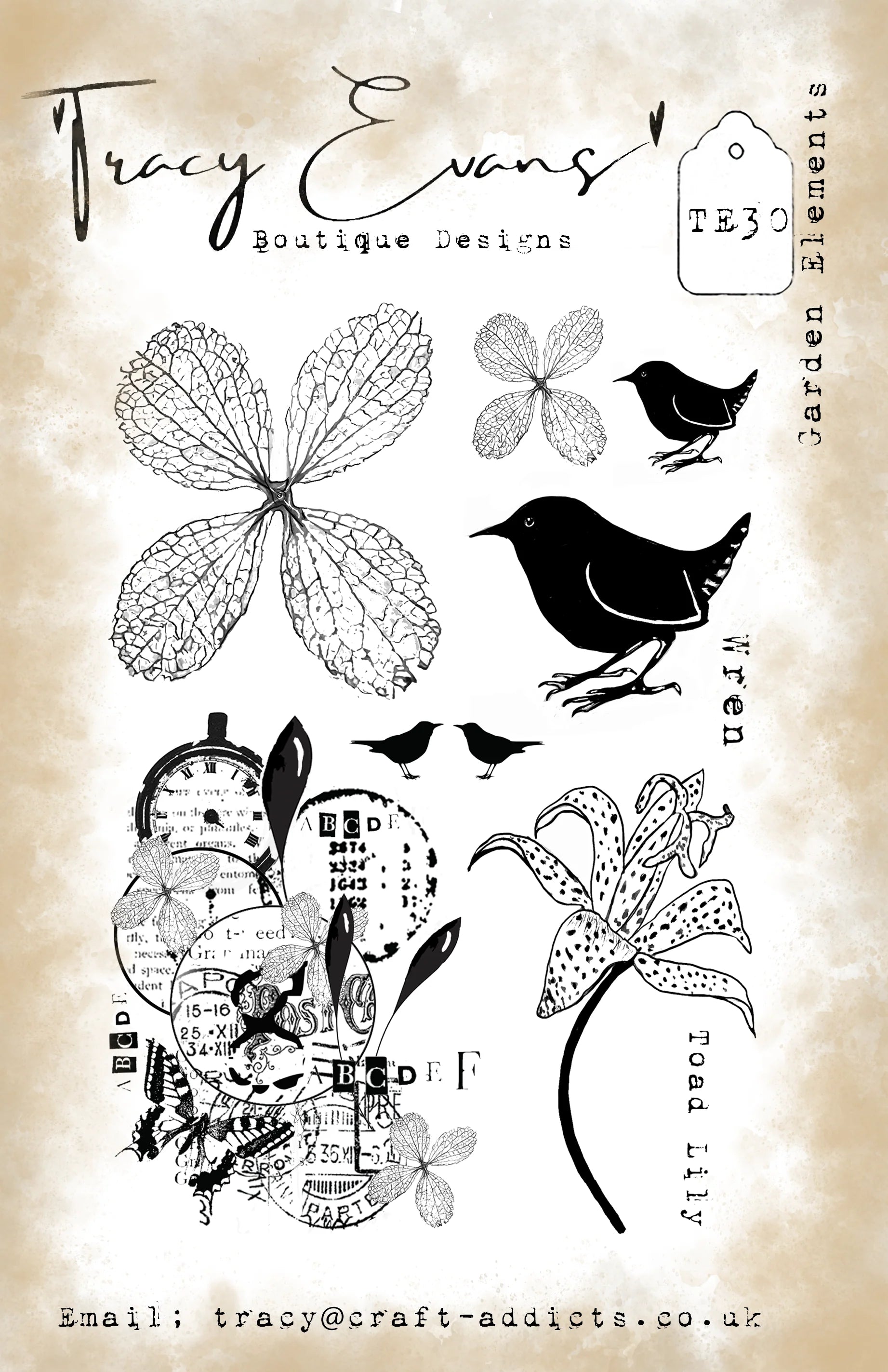 Tracy Evans - Garden Elements Stamp Set