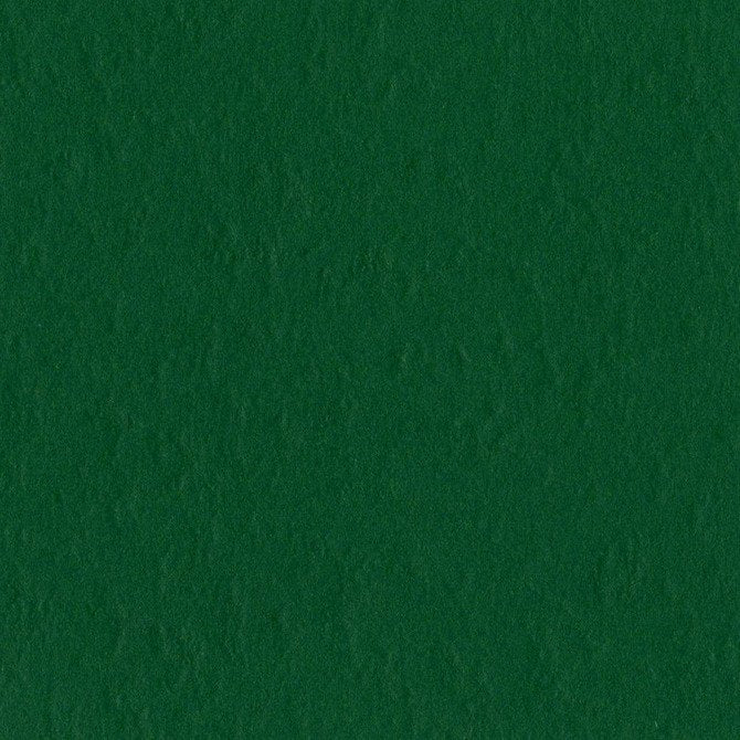 Bazzill Mono - Classic Green Cardstock