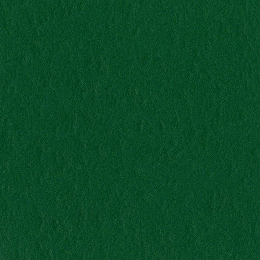 Bazzill Mono - Classic Green Cardstock