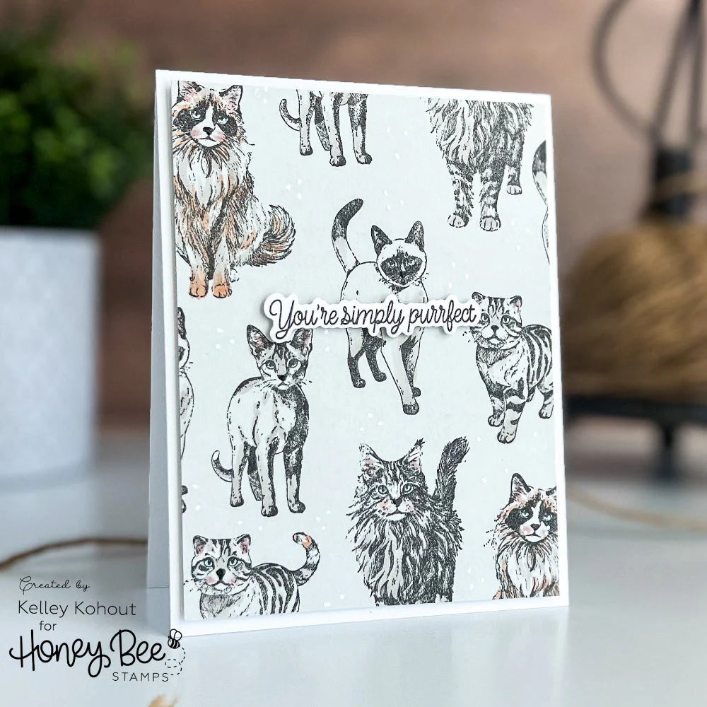 Honey Bee - Paws & Purrs Stamp & Die Bundle