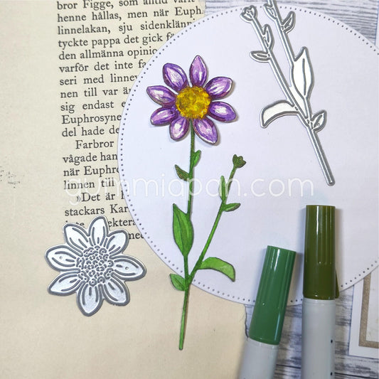 Gummiapan - Cosmos Die Set