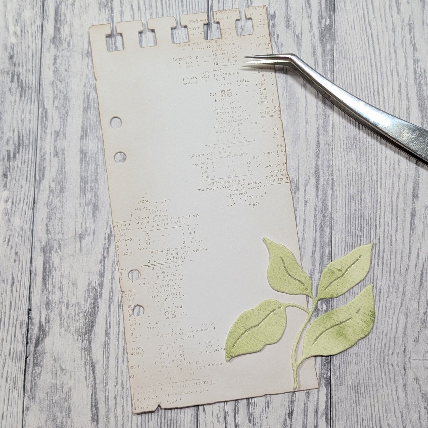 Gummiapan - SlimLine Note Die