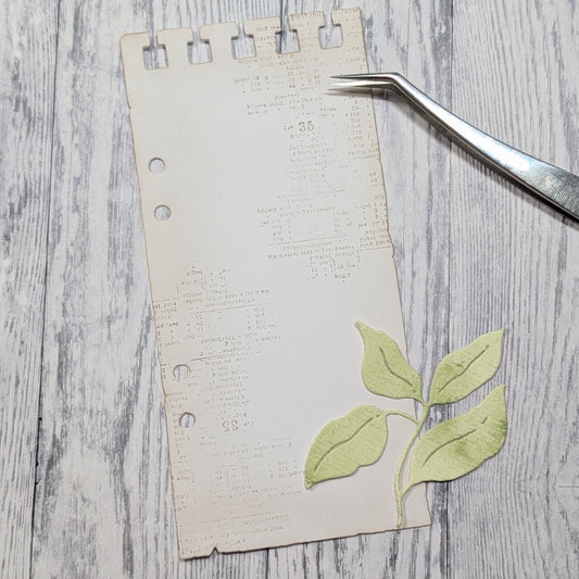 Gummiapan - SlimLine Note Die