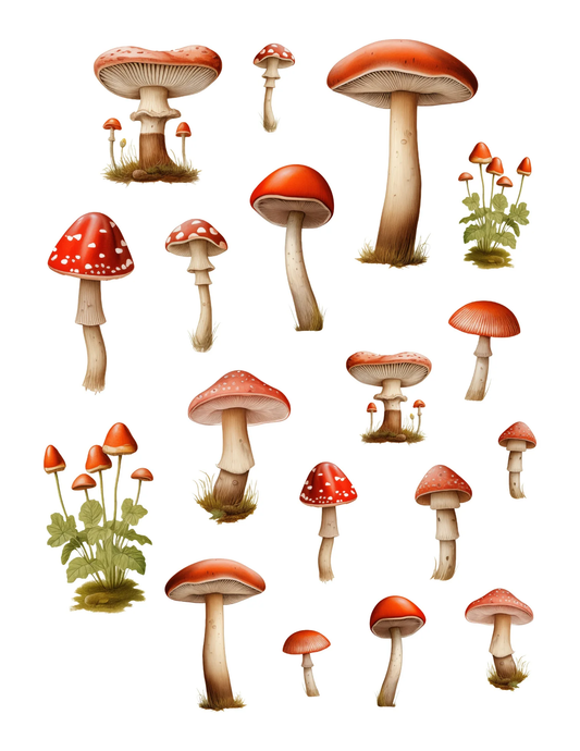 Simply Stated - Cottagecore - Mushrooms Ephemera