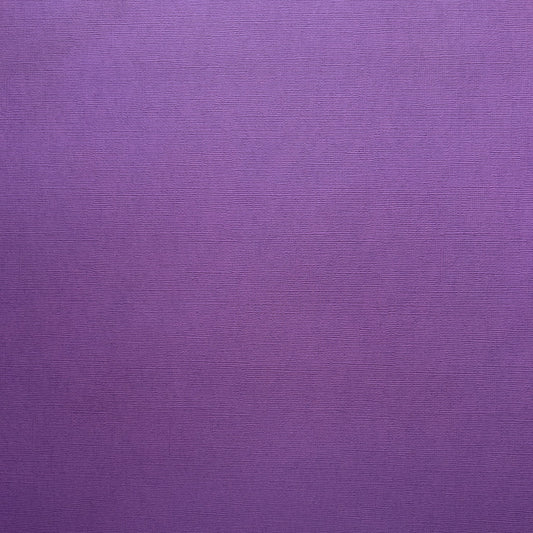 Encore Paper - Canvas Texture - Violet