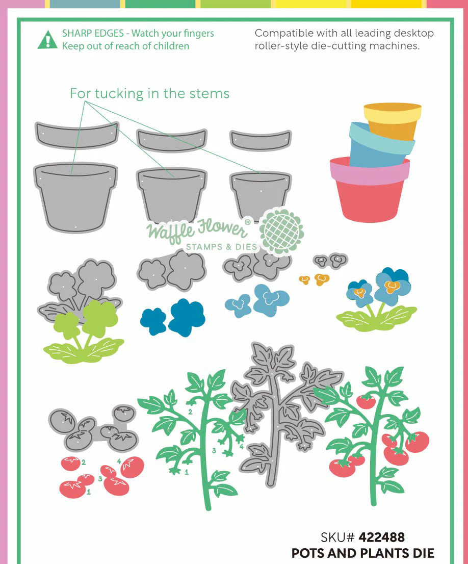 Waffle Flower - Pots and Plants Die