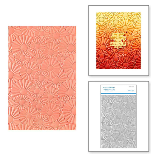 Spellbinders - 3D Embossing Folder - Rosette Burst