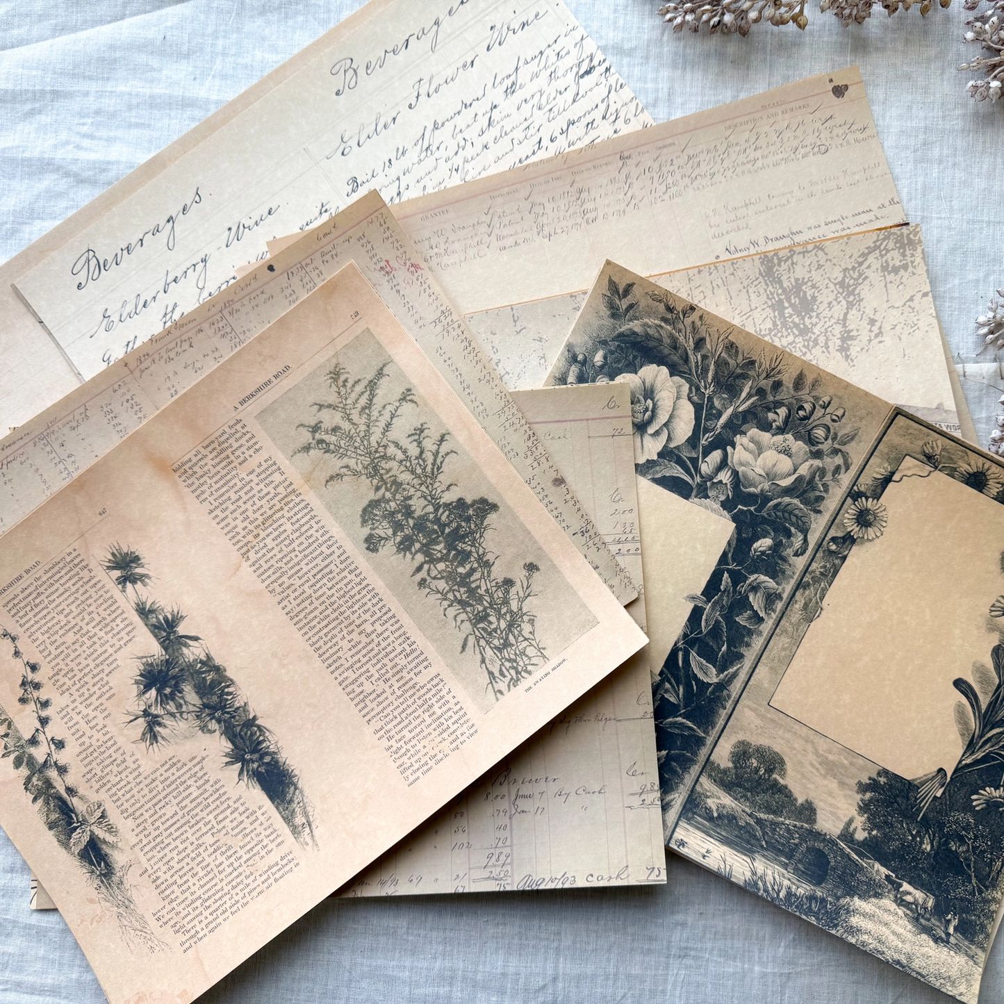 A House of Books - The Signature Paper Pack