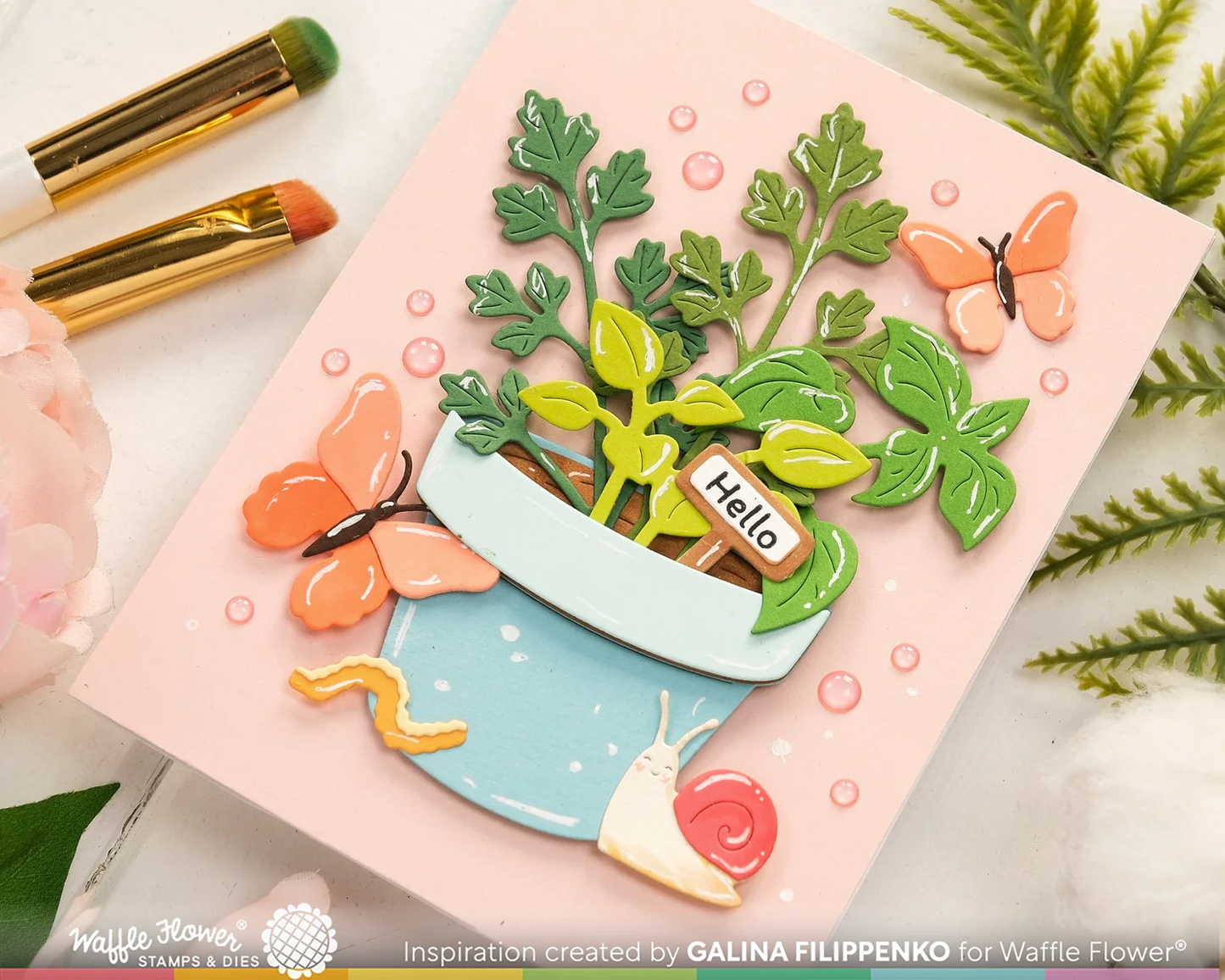 Waffle Flower - Happy Herbs Die