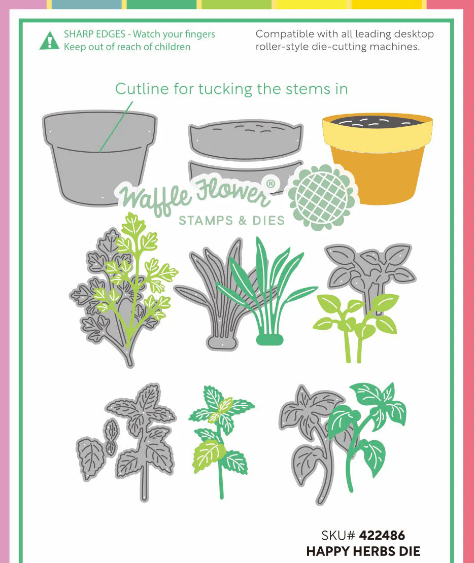 Waffle Flower - Happy Herbs Die