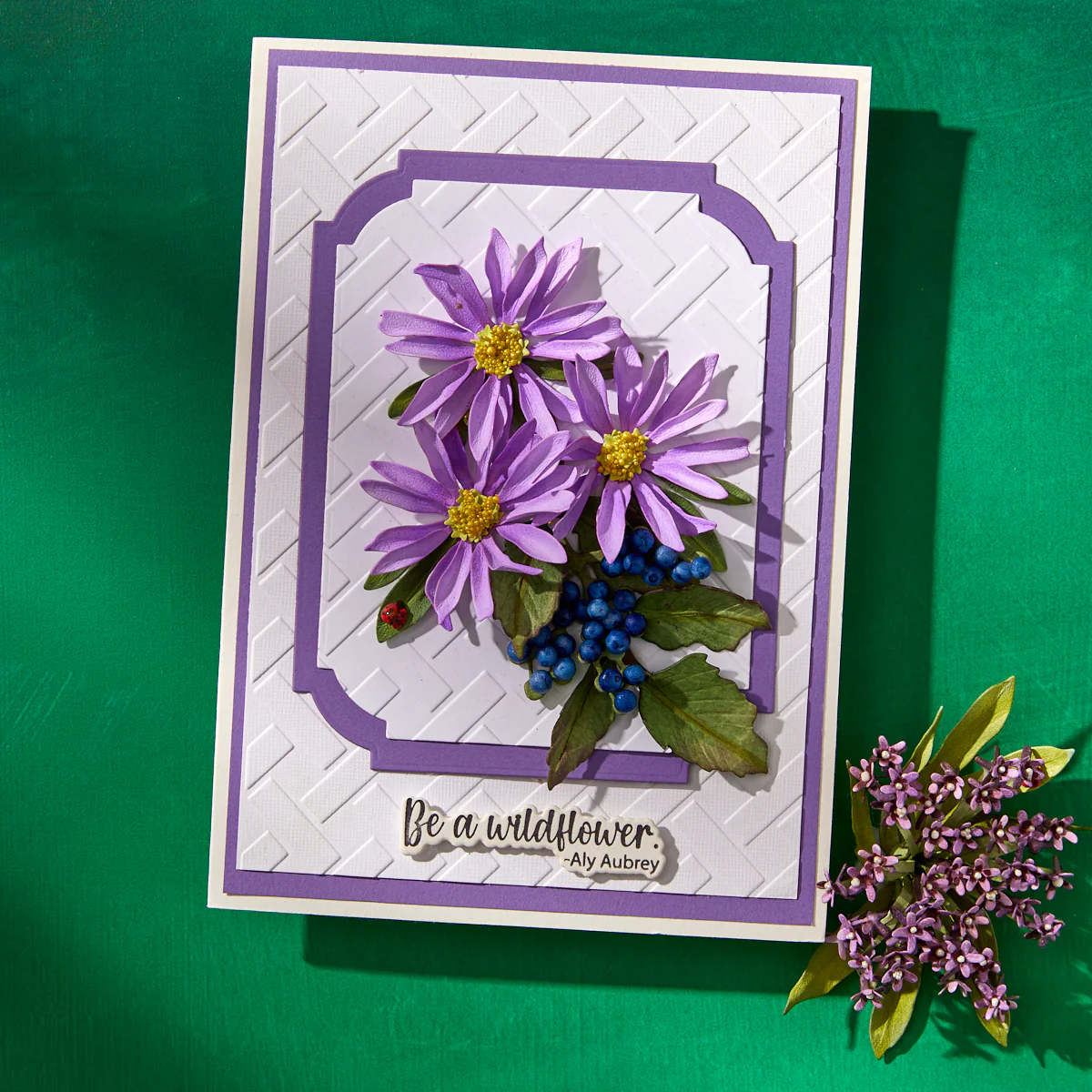 Spellbinders - 3D Embossing Folder - Wildly Beautiful