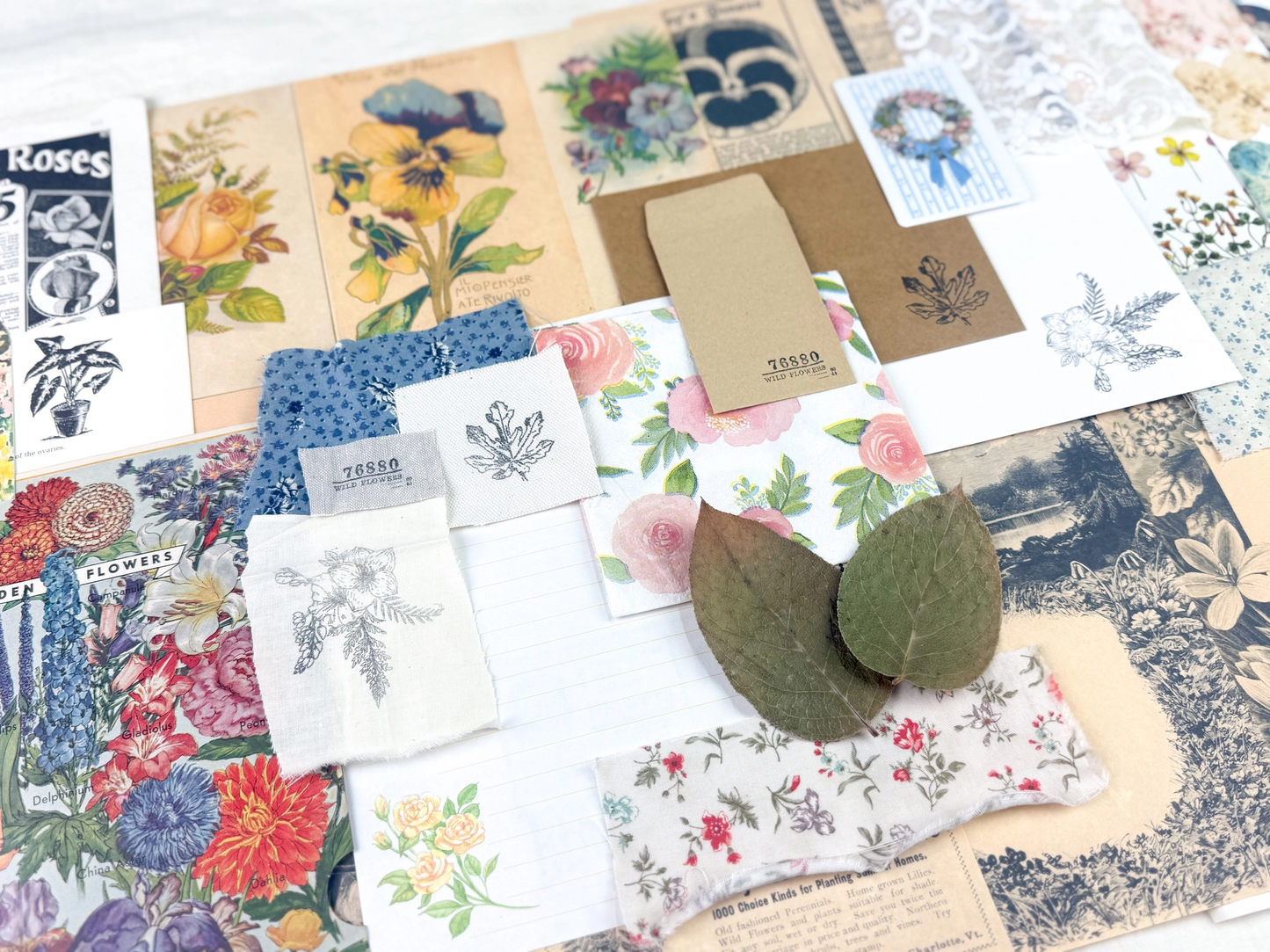 A House of Books - Botany and Nature Ephemera Kit