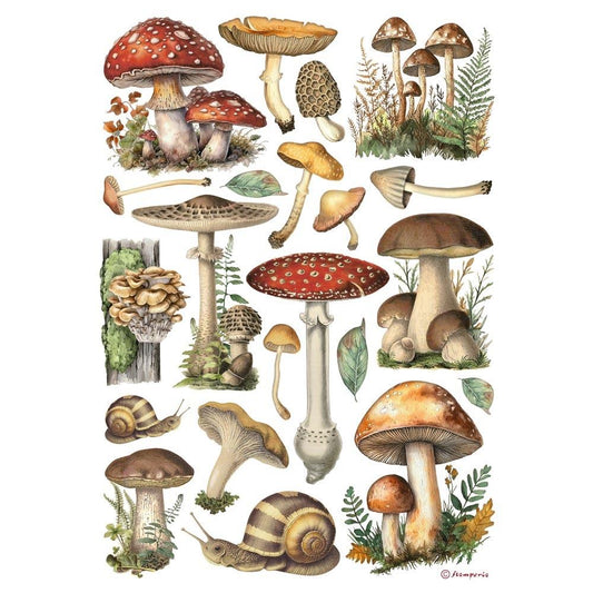 Stamperia - Rice Paper - Mushrooms