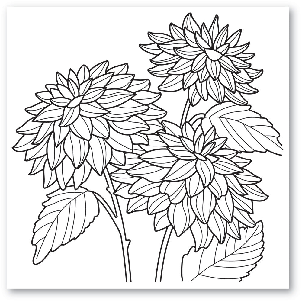 Memory Box - Dahlia Stems Stamp Set