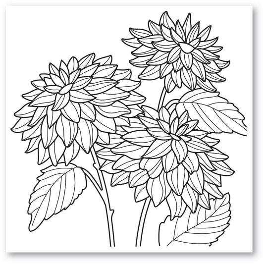 Memory Box - Dahlia Stems Stamp Set