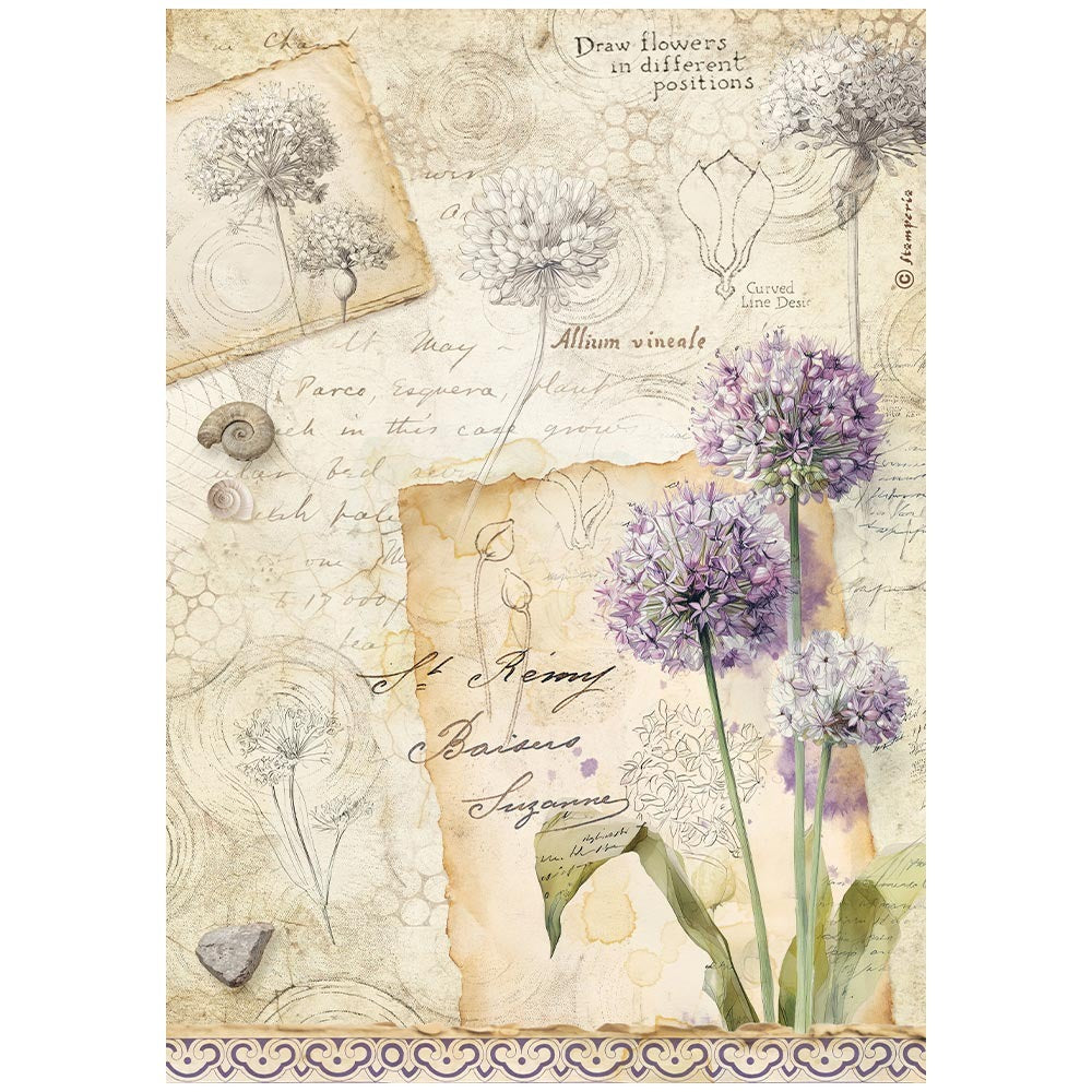 Stamperia - All Around - Allium Rice Paper
