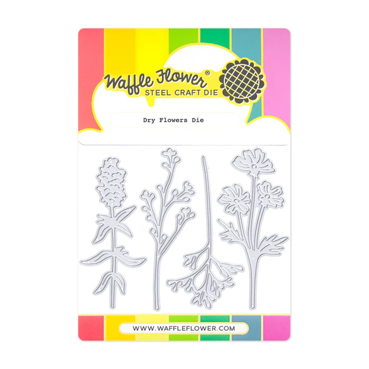 Waffle Flower - Dry Flowers Die Set