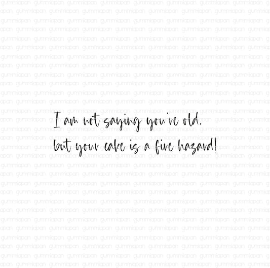 Gummiapan - I Am Not Saying You're Old...Stamp