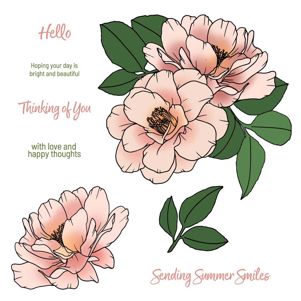Honey Bee - Summer Smiles Stamp & Die Bundle