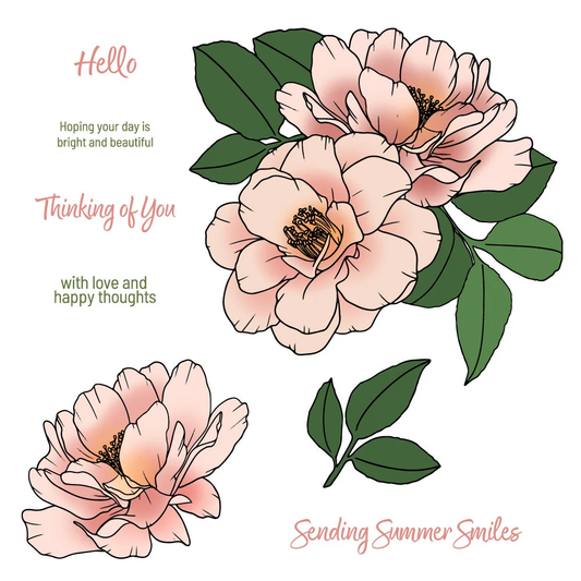 Honey Bee - Summer Smiles Stamp & Die Bundle