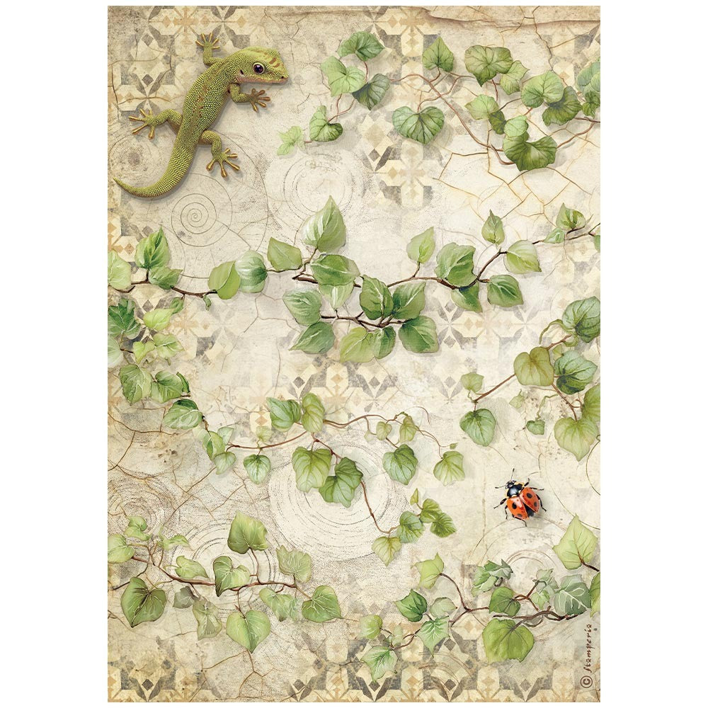Stamperia - All Around - Ivy Rice Paper