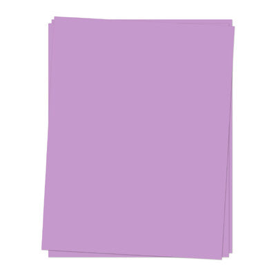 Concord & 9th - Cardstock - Aster Pack