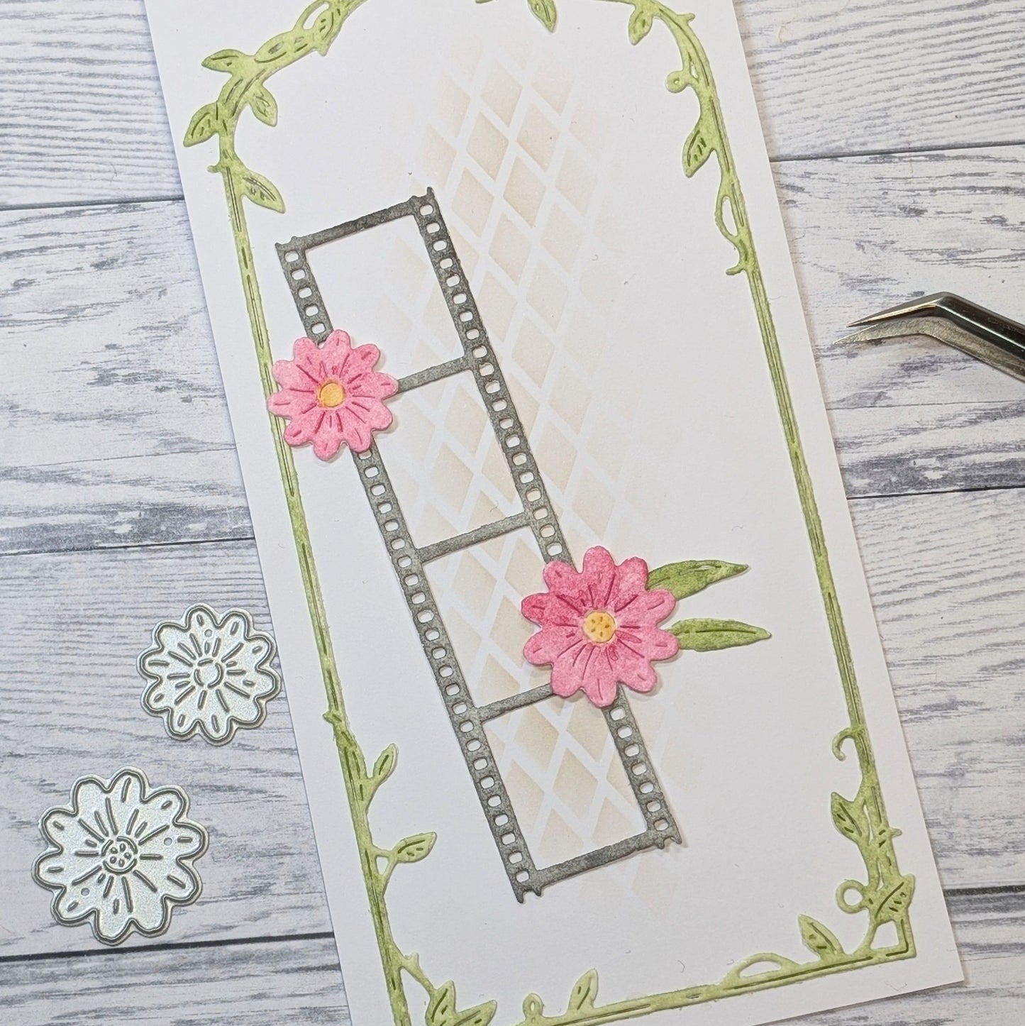 Gummiapan - Filmstrip Die