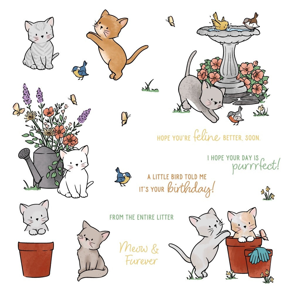 Honey Bee - Meow & Furever Stamp & Die Bundle