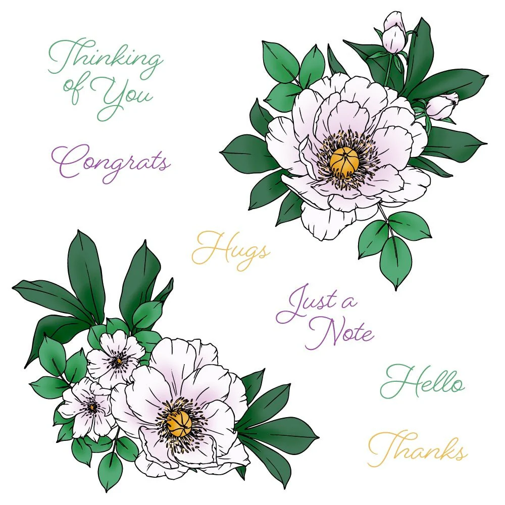 Honey Bee - Perfect Peonies Stamp & Die Bundle