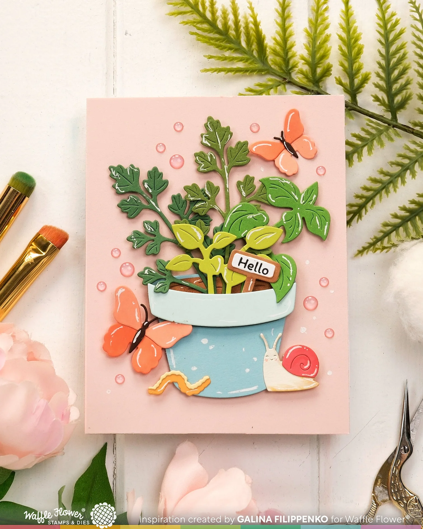 Waffle Flower - Happy Herbs Die