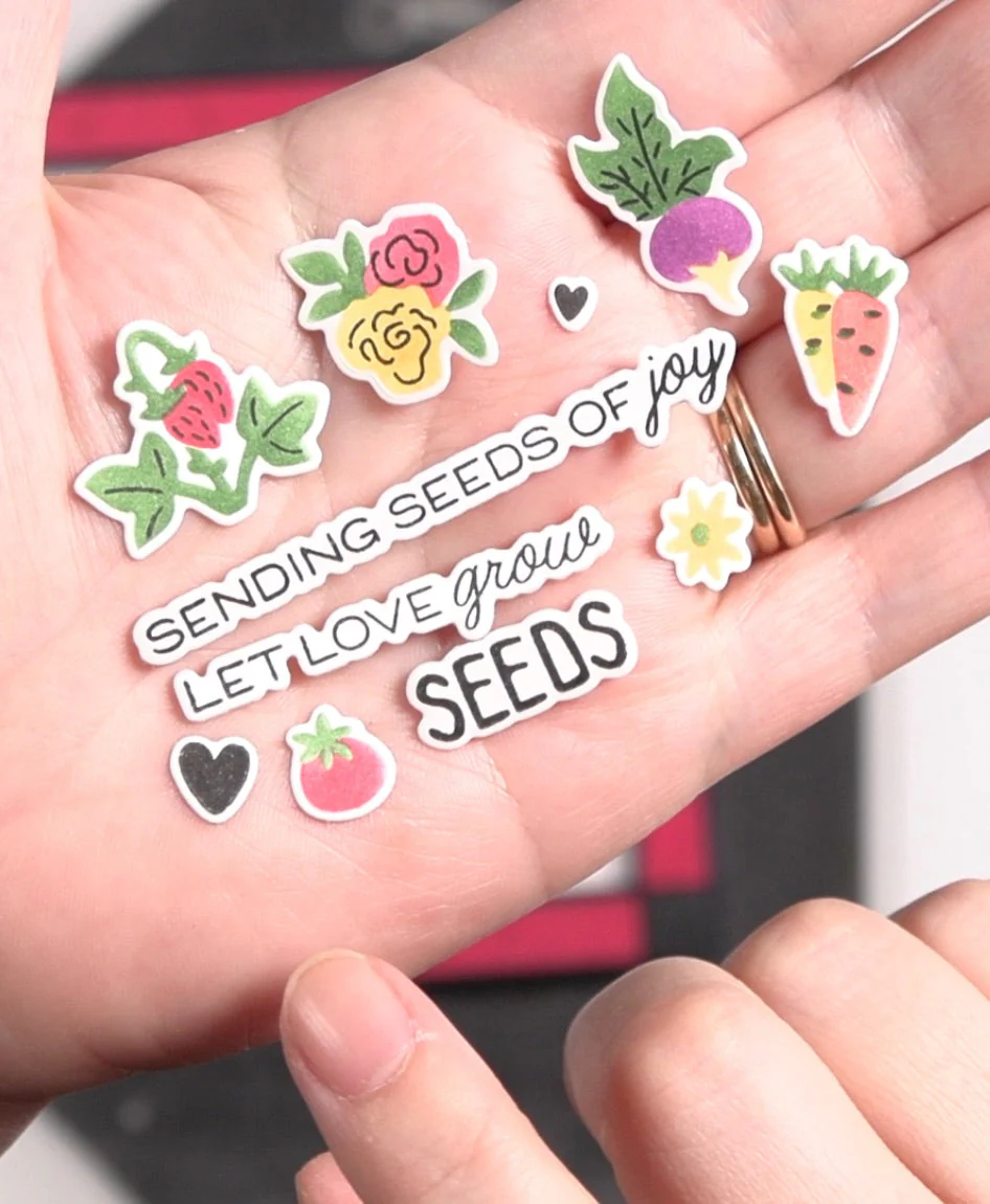 Waffle Flower - Postage Collage - Seed Details Stamp & Die Bundle