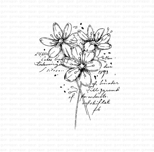 Gummiapan - Flower Collage Stamp