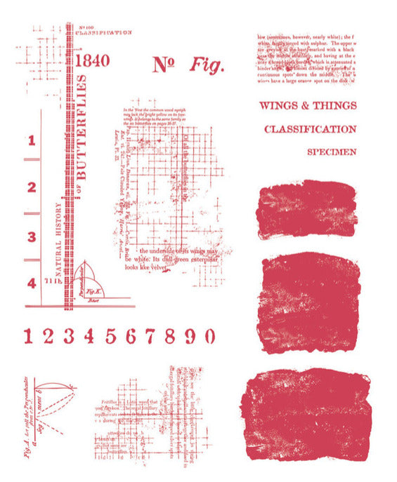 Sizzix - Wings & Things Stamp Set by 49 and Market