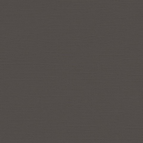 My Colors - Canvas Cardstock - Charcoal