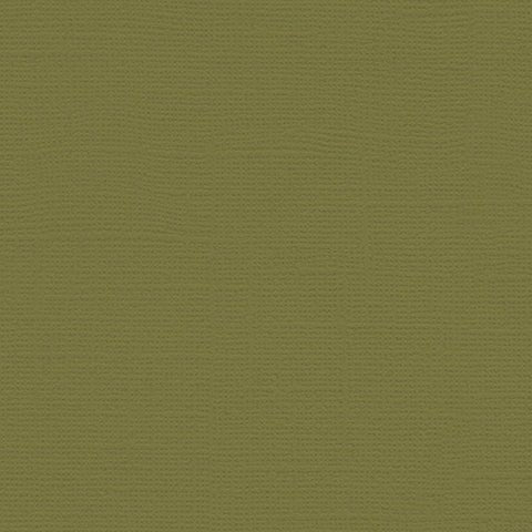 My Colors - Canvas Cardstock - Grasshopper